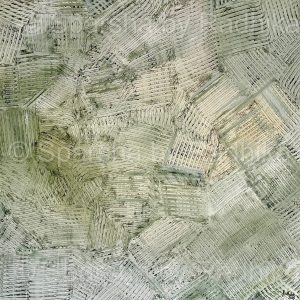 Organic Olive I