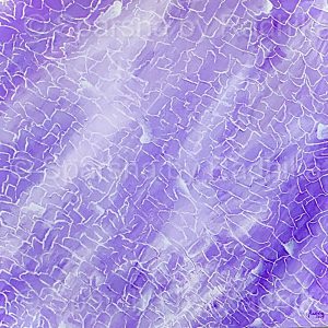 Lavender Lure I